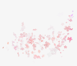 桃花雨粉色漂浮桃花瓣高清图片