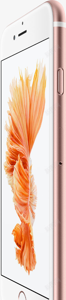 粉色边框苹果6S手机png免抠素材_88icon https://88icon.com 6s 手机 粉色 苹果 边框