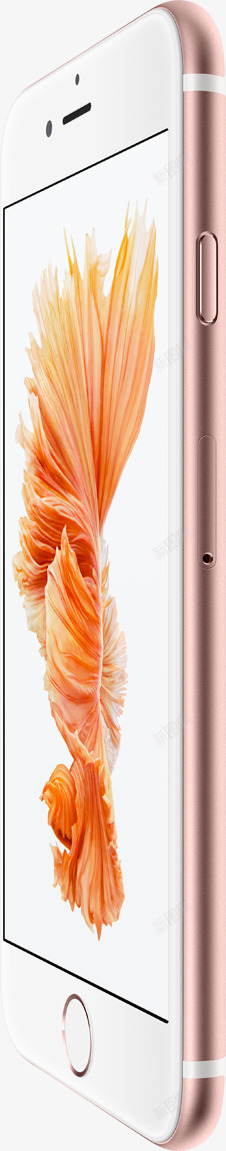 粉色边框苹果6S手机素材