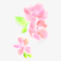 美丽的粉色花朵手绘图素材