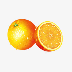 新鲜的黄色橙子插画矢量图素材