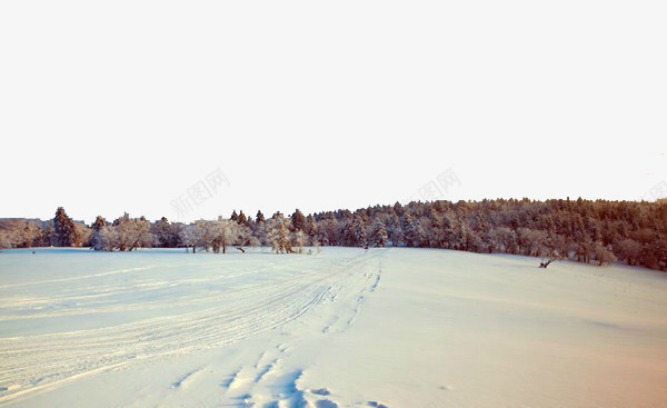 雪乡森林景色psd免抠素材_88icon https://88icon.com 冬日雪景 城市街景 旅游风景