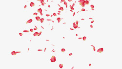 飞舞的花瓣素材