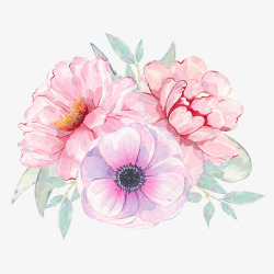 水彩粉色花朵简图素材