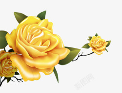 美丽的黄玫瑰简图素材
