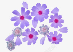 高雅紫色手绘风格花朵素材