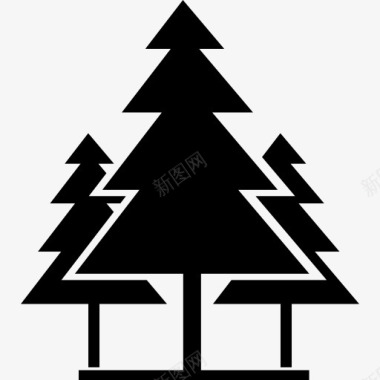松树圣诞树图标图标