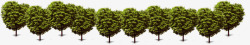 创意合成树木造型爱心大树素材