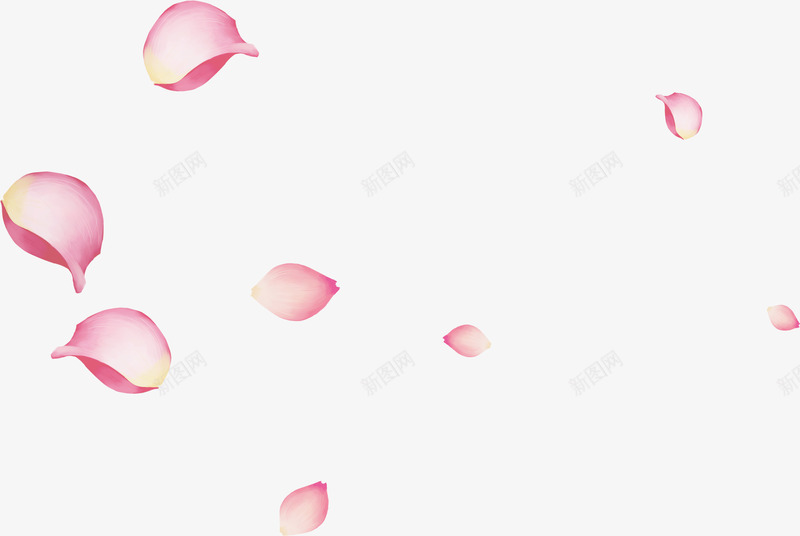粉色漂浮玫瑰花瓣png免抠素材_88icon https://88icon.com 玫瑰 玫瑰花瓣 粉玫瑰花瓣 粉色 花瓣 装饰