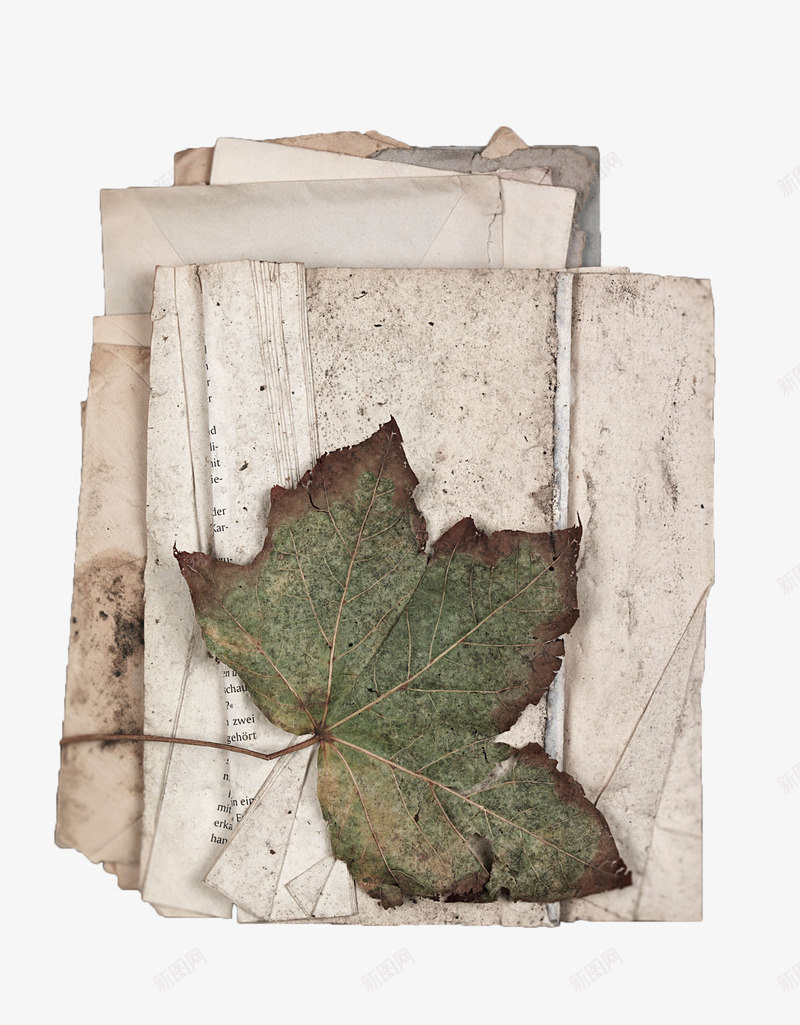 做旧复古树叶纸张png免抠素材_88icon https://88icon.com 做旧纸张 复古 干树叶 揉皱的纸 皱纹纸 空白纸 纸张 褶皱