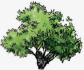 夏季园林绿色植物景观大树png免抠素材_88icon https://88icon.com 园林 夏季 大树 景观 绿色植物