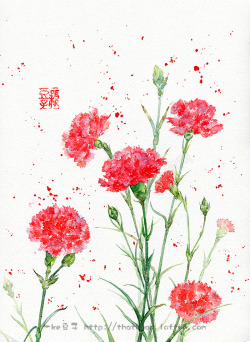 红色唯美漂浮花朵康乃馨素材