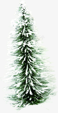 绿色冬季大树冰花素材