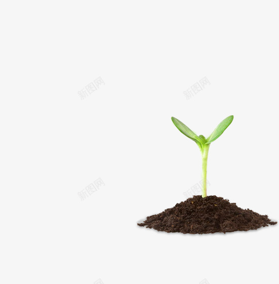 长在土壤里面的小草png免抠素材_88icon https://88icon.com 发芽 土壤 嫩芽 泥土