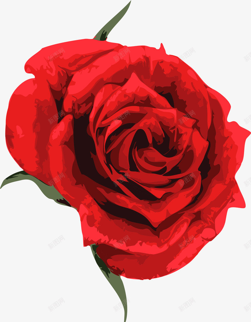 美丽红色花朵装饰png免抠素材_88icon https://88icon.com 玫瑰花 红色花朵 红色花瓣 绿色叶子 美丽花朵 花朵装饰