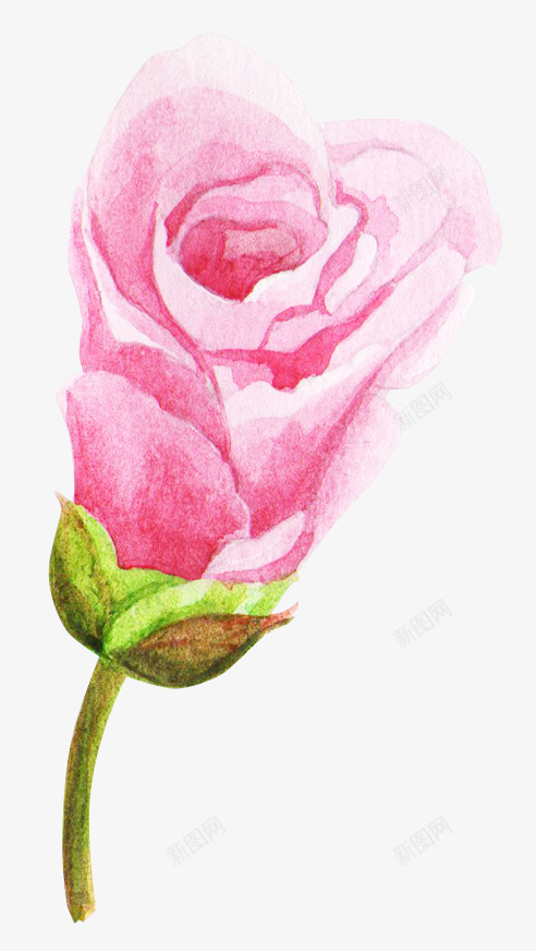 美丽的水彩粉色花朵png免抠素材_88icon https://88icon.com 桔梗 水彩 简图 粉色花朵 美丽的 花卉 花瓣