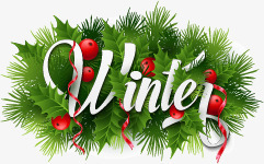 Winterpng免抠素材_88icon https://88icon.com Winter 冬季 树枝