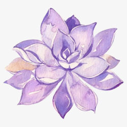 紫色手绘美丽花朵可爱素材
