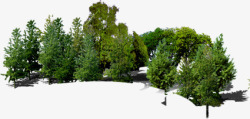 室外摄影环境渲染效果大树素材