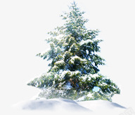 手绘大树圣诞背景素材
