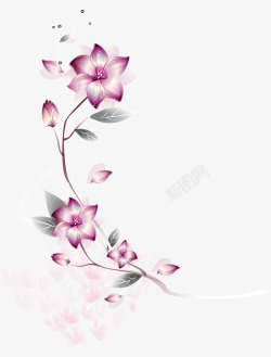 美丽紫色花朵装饰素材