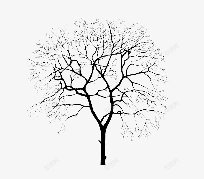 冬天的树木树干png免抠素材_88icon https://88icon.com 冬天 树干 树木