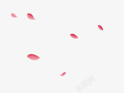 花瓣粉红花瓣任意漂浮素材