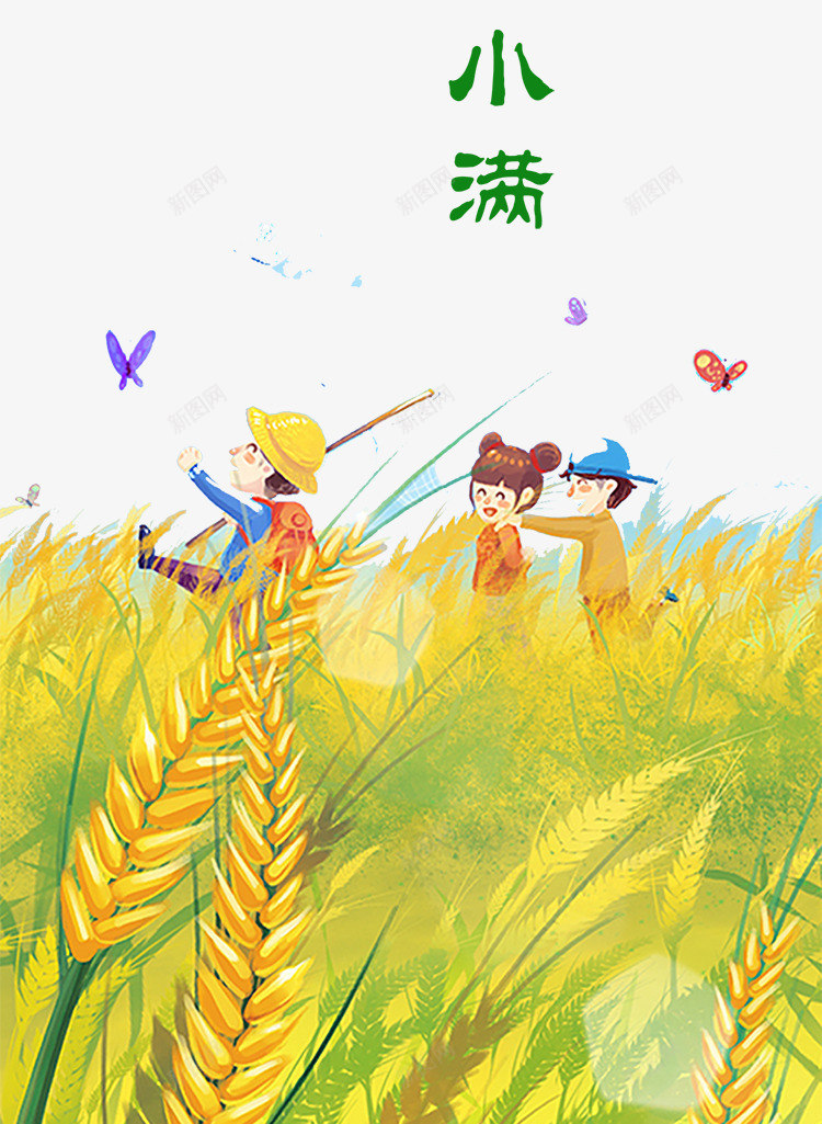 彩色创意小满插画元素png免抠素材_88icon https://88icon.com 创意 卡通插画 小满 彩色 环境 紫色 蝴蝶 飞舞