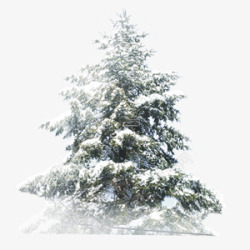 黑白大雪压松树素材
