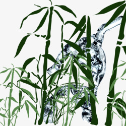 水和绿色竹林素材