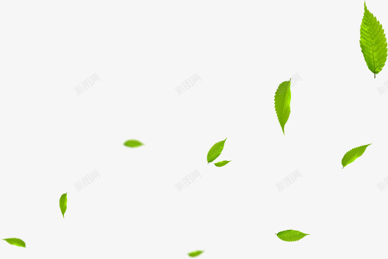绿色卡通树叶漂浮植物png免抠素材_88icon https://88icon.com 卡通 树叶 植物 漂浮 绿色