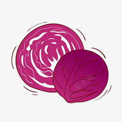 紫色卷心菜素材