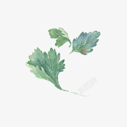手绘绿色植物叶子图素材