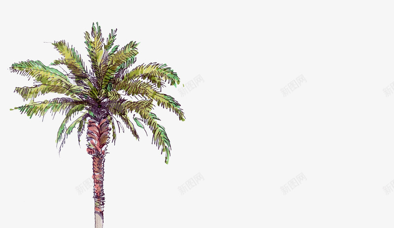 手绘夏季植物大树png免抠素材_88icon https://88icon.com 夏季 大树 植物