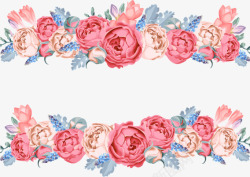美丽玫瑰花朵花卉装饰分割素材