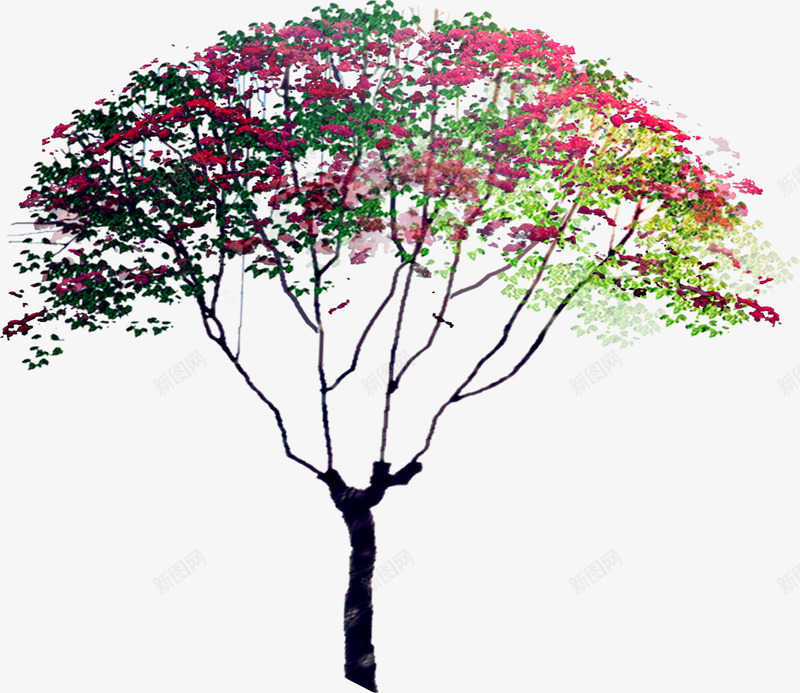 粉色小花绿叶大树png免抠素材_88icon https://88icon.com 大树 粉色 绿叶