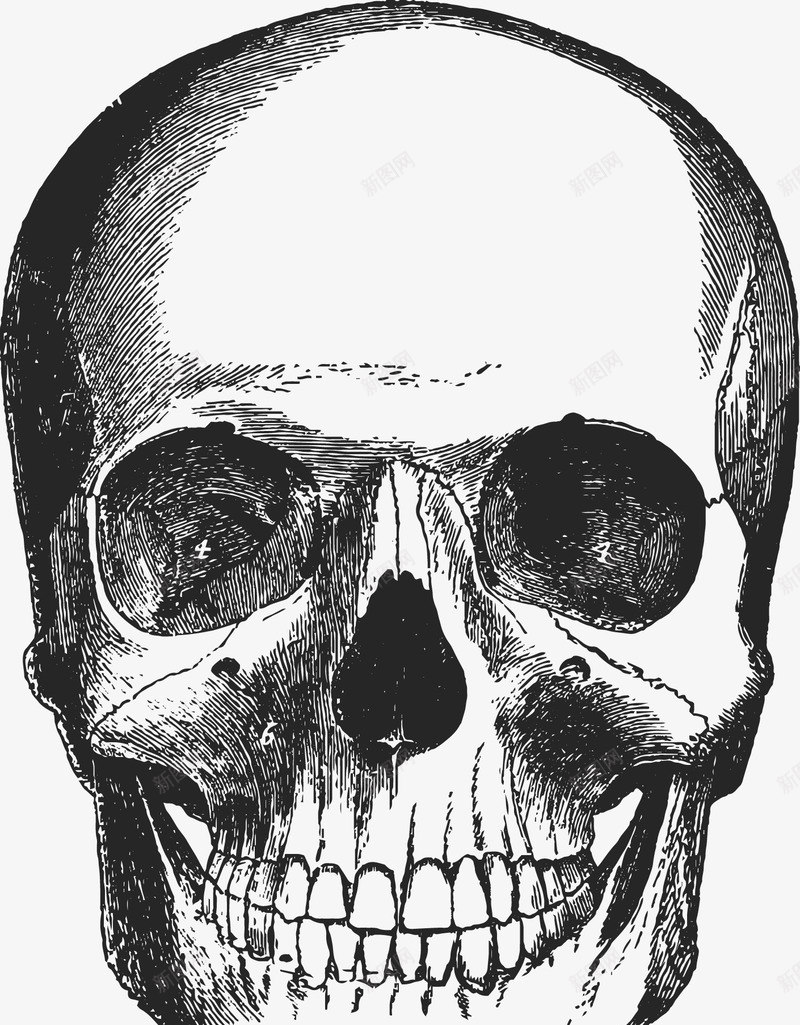 卡通人体器官内脏关节海报png免抠素材_88icon https://88icon.com 人体关节 人体器官展示 人体构造 人体构造广告设计 健康 内脏 卡通人体器官 卡通内脏 海报设计 网页设计 肺部心脏脑部