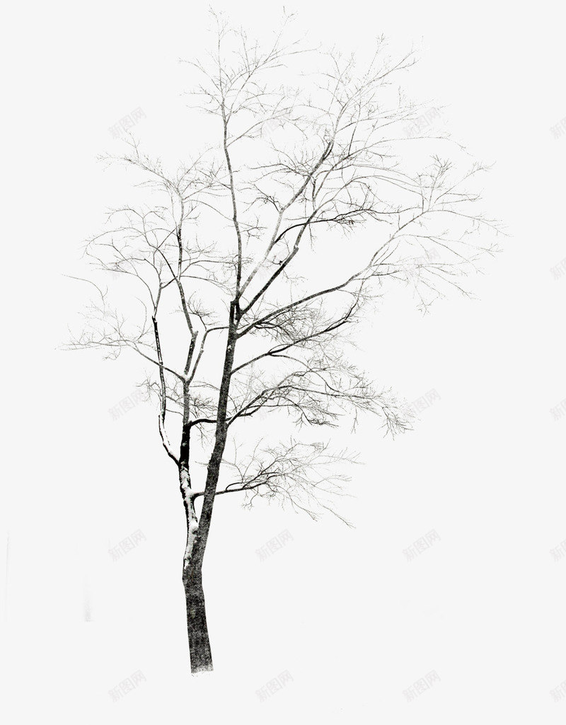冬季景观创意大树png免抠素材_88icon https://88icon.com 冬季 创意 大树 景观