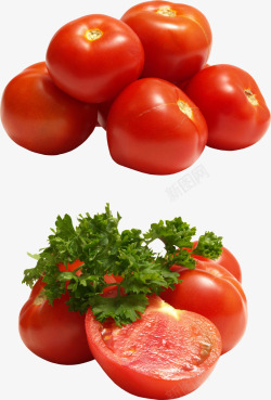 西红柿新鲜番茄圣女果素材