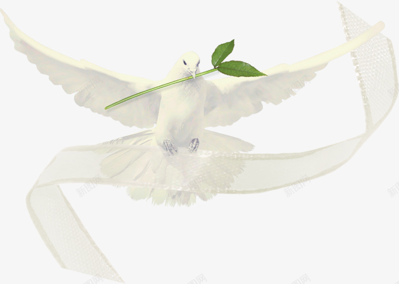 丝带上的鸟png免抠素材_88icon https://88icon.com 丝带 吊着叶子 女装海报 白色鸟