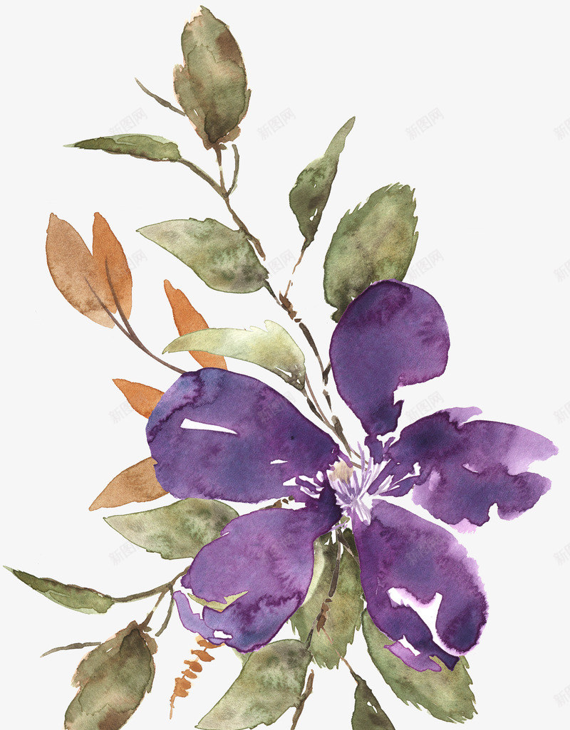 紫色花卉png免抠素材_88icon https://88icon.com 叶子 水墨 素描 紫色花卉 美丽的 花朵 花瓣 装饰