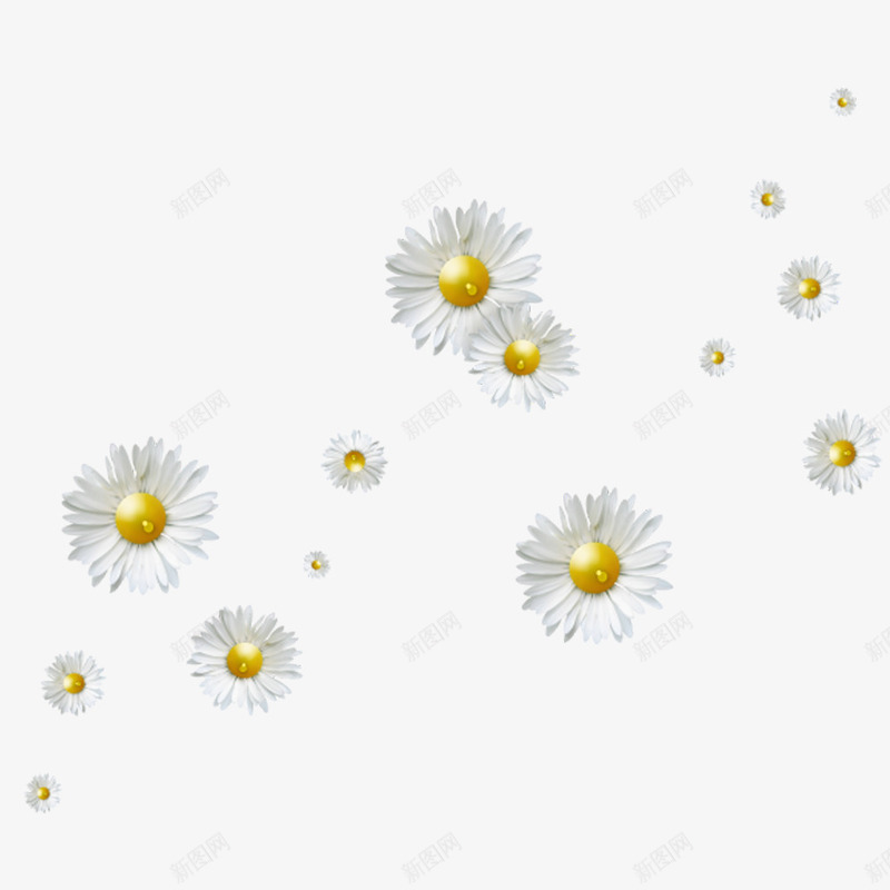 白色野菊花漂浮png免抠素材_88icon https://88icon.com 白色 花卉 花朵 野菊花