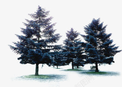 蓝色冬季大树雪地素材