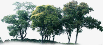创意摄影效果合成绿色大树png免抠素材_88icon https://88icon.com 创意 合成 大树 摄影 效果 绿色