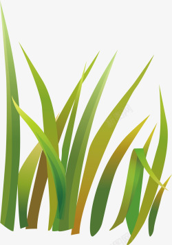 麦苗草手绘发芽的小麦苗高清图片