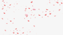粉色漂浮情人节花瓣素材
