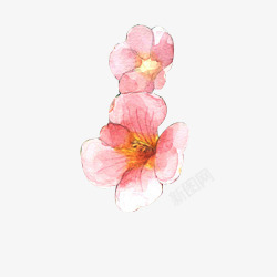 彩色手绘樱花花朵漂浮素材