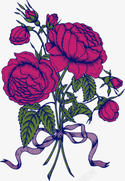 一束美丽紫色玫瑰花素材