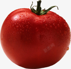 圣女果番茄西红柿素材