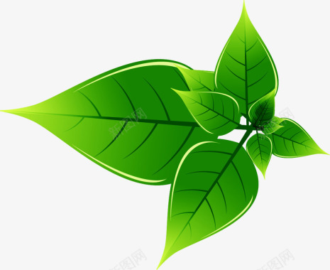 植物精美绿色环保主题标签图标图标